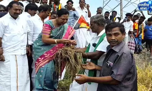Chennai बारिश से धान नुकसान पर सरकार से मदद की मांग Chennai बारिश से धान नुकसान पर सरकार से मदद की मांग