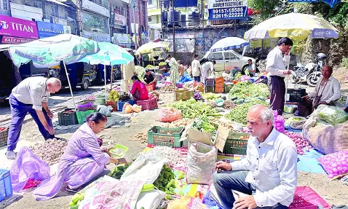 संडे मार्केट में हाथों-हाथ बिकी ताजा-हरी सब्जियां संडे मार्केट में हाथों-हाथ बिकी ताजा-हरी सब्जियां