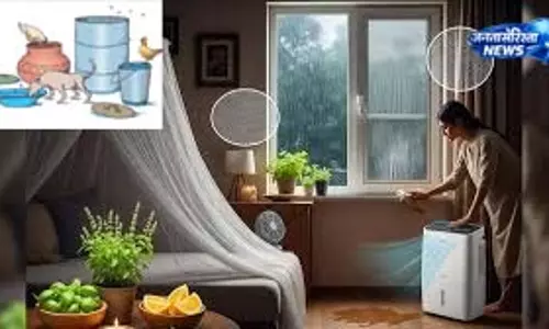मानसून में मक्खियों से बचाव के उपाय, बढ़ते संक्रमण के खतरे को देखते हुए स्वास्थ्य विभाग की सलाह मानसून में मक्खियों से बचाव के उपाय, बढ़ते संक्रमण के खतरे को देखते हुए स्वास्थ्य विभाग की सलाह