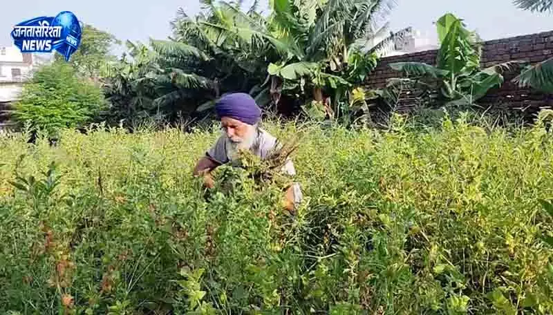 Amritsar में जैविक खेती की नई शुरुआत Amritsar में जैविक खेती की नई शुरुआत