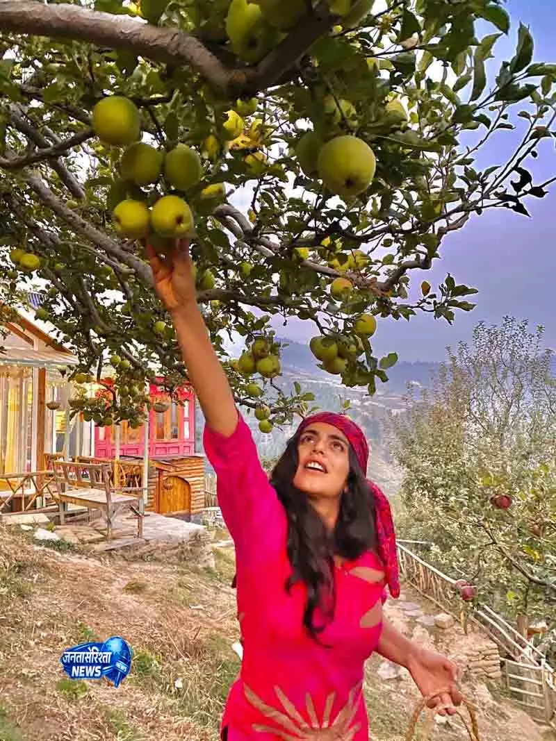 Shimla ऑर्चर्ड टूरिज़्म से बढ़ रही ग्रामीण पर्यटन की रौनक Shimla ऑर्चर्ड टूरिज़्म से बढ़ रही ग्रामीण पर्यटन की रौनक