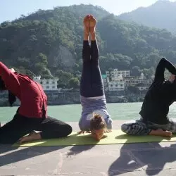 Pauri Garhwal: योग दिवस पर स्वास्थ्य और फिटनेस के प्रति जागरूकता बढ़ी Pauri Garhwal: योग दिवस पर स्वास्थ्य और फिटनेस के प्रति जागरूकता बढ़ी