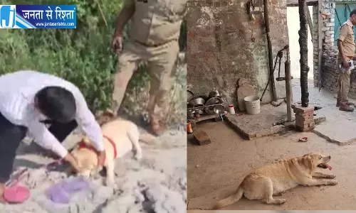डॉग आरोपी के घर में घुसा, रेप केस सुलझा