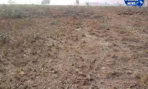 Haryana में शामलात जमीन अध्यादेश को मंजूरी Haryana में शामलात जमीन अध्यादेश को मंजूरी