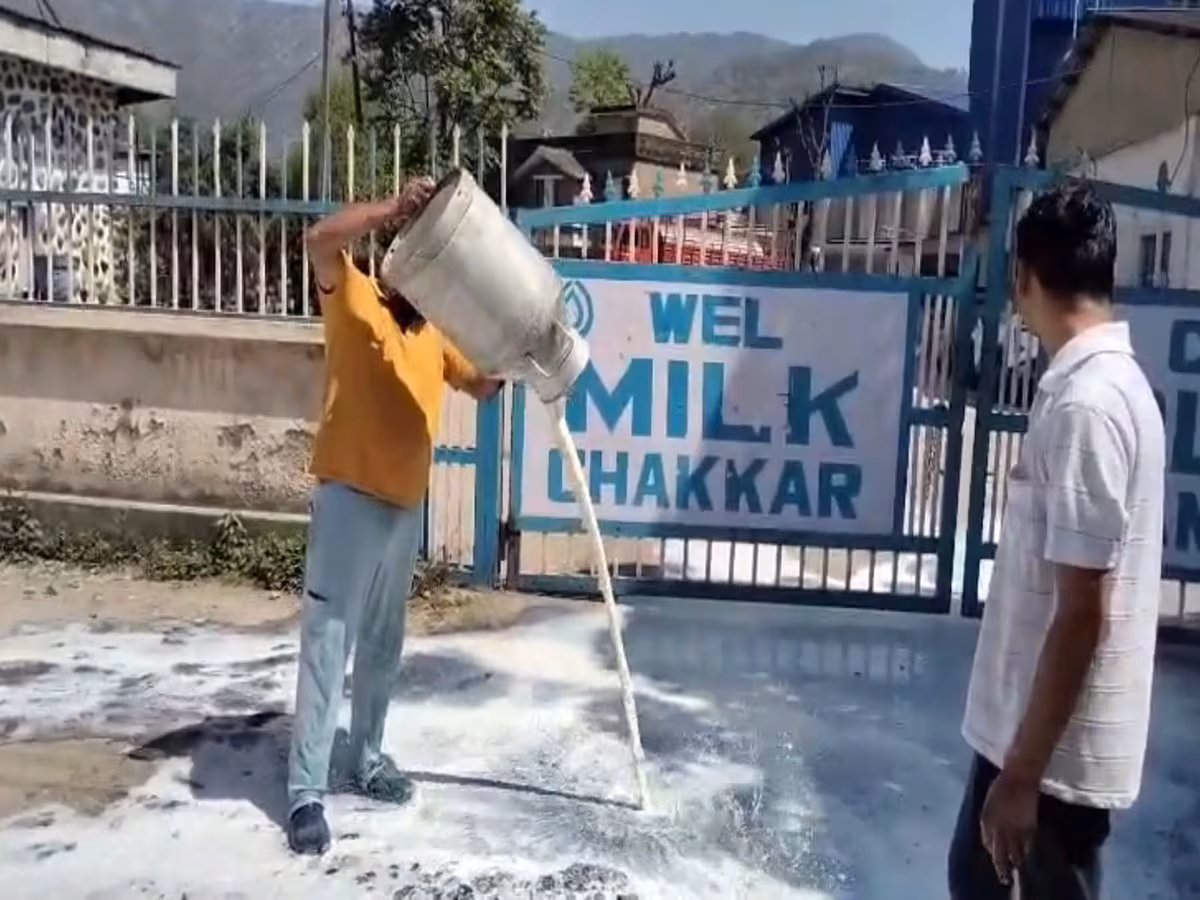 Mandi: सरकार और मिल्क फैड के खिलाफ उत्पादकों का प्रदर्शन Mandi: सरकार और मिल्क फैड के खिलाफ उत्पादकों का प्रदर्शन