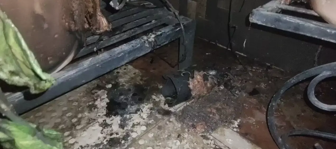 Bathinda: भाजपा नेता के क्लीनिक को बनाया गया निशाना, पेट्रोल बम फेंका