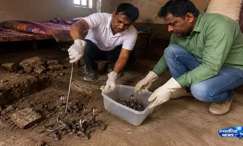 Jajpur में बेडरूम के अंदर कोबरा के 23 बच्चे मिलने से परिवार हैरान Jajpur में बेडरूम के अंदर कोबरा के 23 बच्चे मिलने से परिवार हैरान