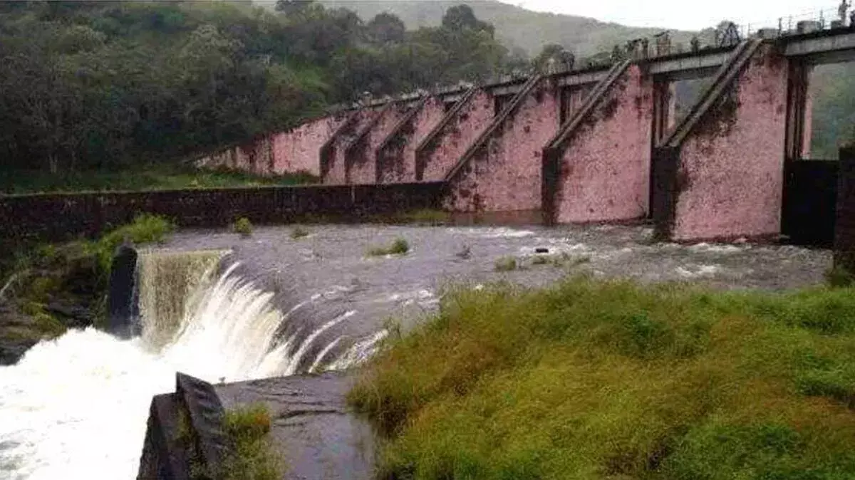 Kerala के सदस्य को हटाकर मुल्लापेरियार पैनल में यूपी निवासी शामिल Kerala के सदस्य को हटाकर मुल्लापेरियार पैनल में यूपी निवासी शामिल