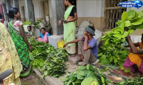 Madhupur : आदिवासी महिलाओं की आजीविका का सहारा बने वन उत्पाद