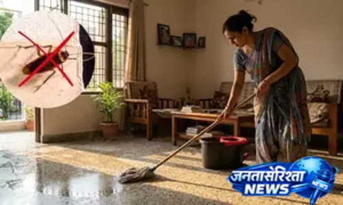 उजाले में गायब होकर कहां जाते हैं ये कीड़े उजाले में गायब होकर कहां जाते हैं ये कीड़े