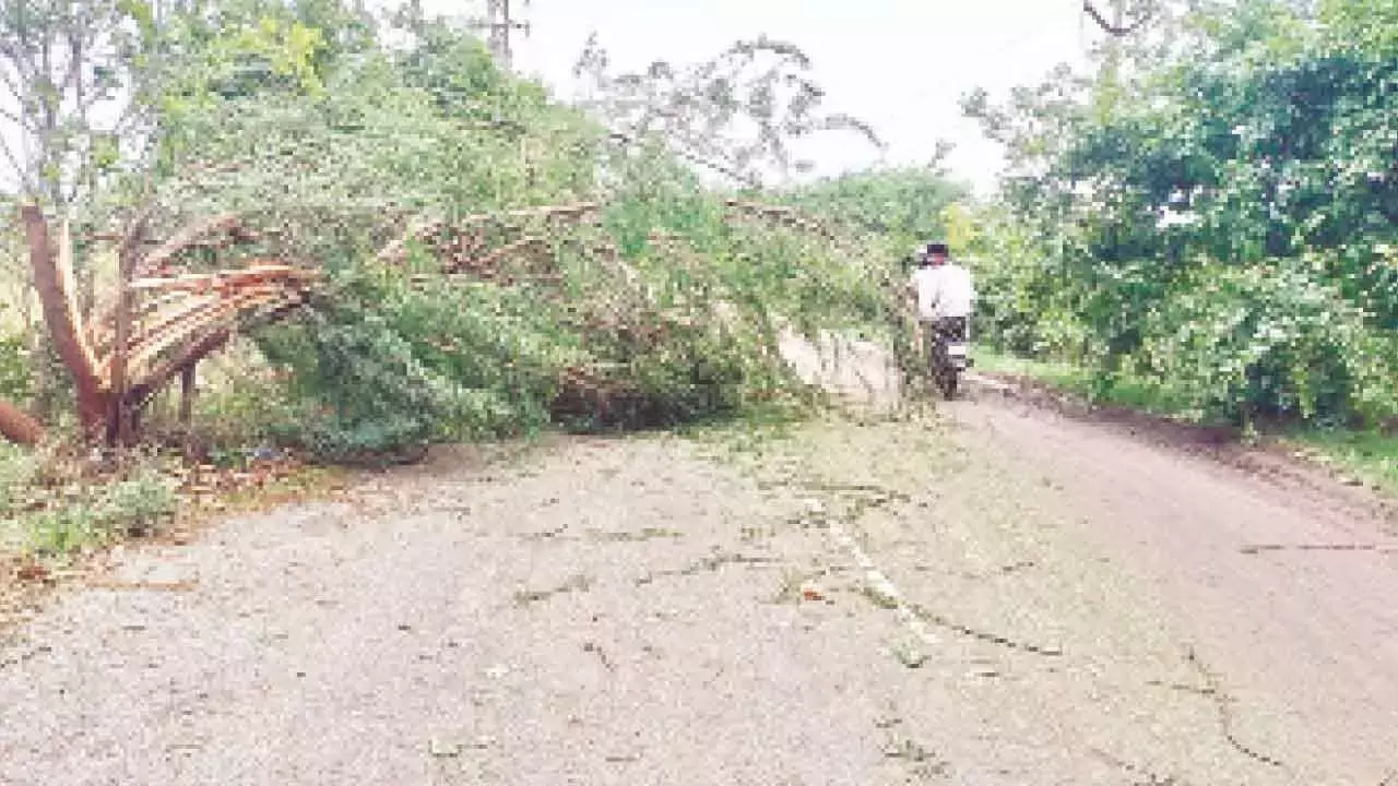 Telangana: रंगा रेड्डी में बारिश के पहले दौर में 70.8 मिमी बारिश हुई Telangana: रंगा रेड्डी में बारिश के पहले दौर में 70.8 मिमी बारिश हुई