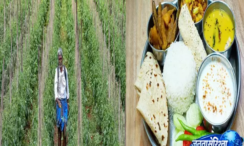 क्या हमारी थाली बन रही है बीमारी का कारण? क्या हमारी थाली बन रही है बीमारी का कारण?