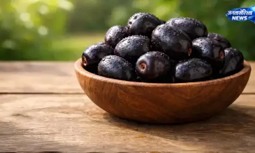 देसी या हाइब्रिड जामुन? जानें फर्क देसी या हाइब्रिड जामुन? जानें फर्क