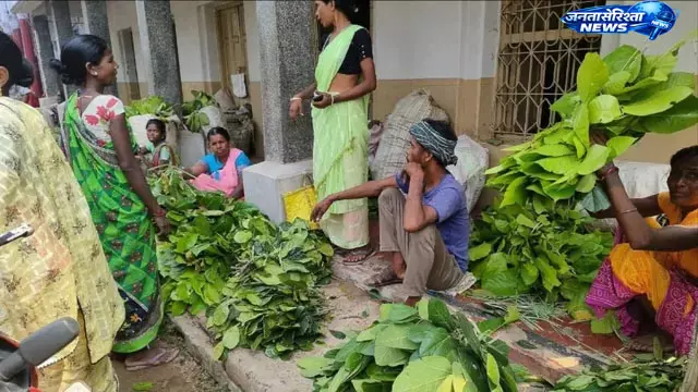 Madhupur : आदिवासी महिलाओं की आजीविका का सहारा बने वन उत्पाद Madhupur : आदिवासी महिलाओं की आजीविका का सहारा बने वन उत्पाद