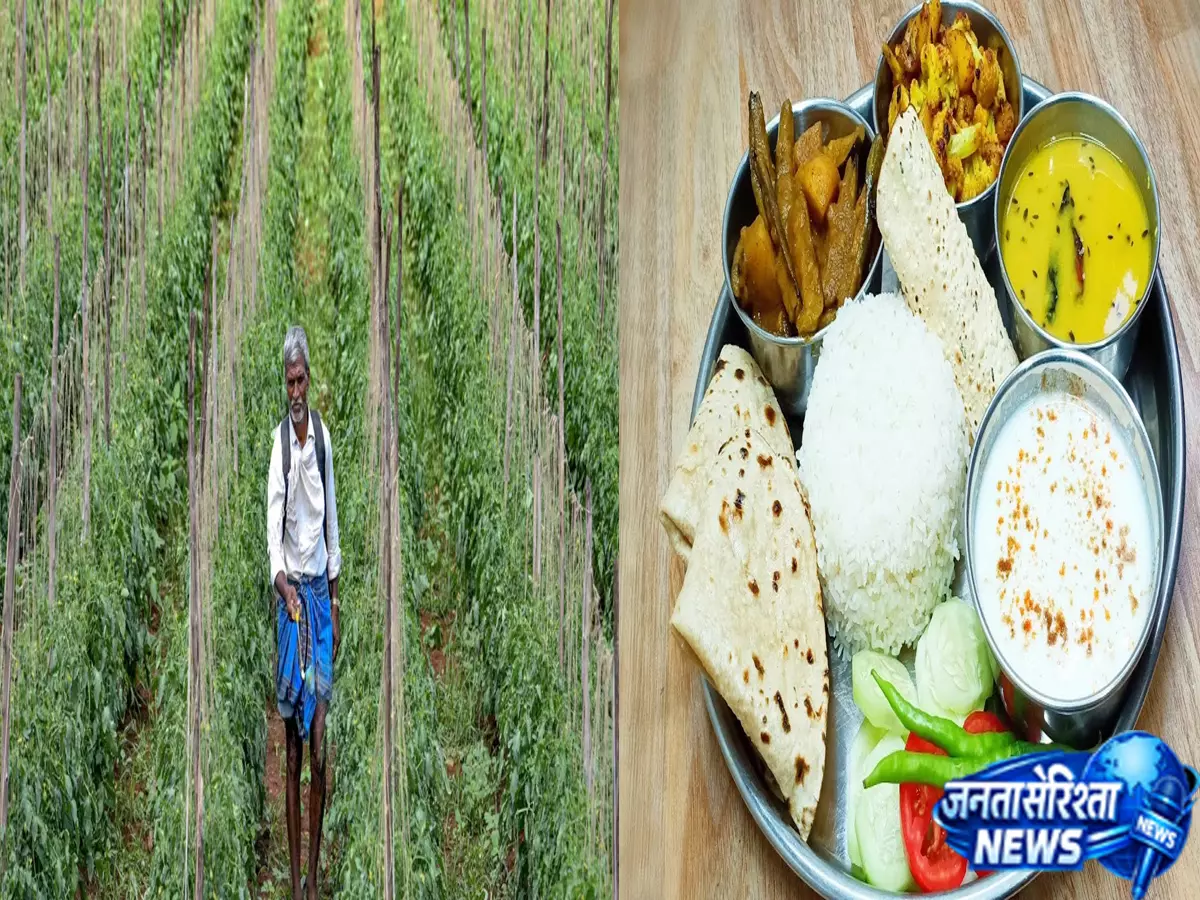 क्या हमारी थाली बन रही है बीमारी का कारण? क्या हमारी थाली बन रही है बीमारी का कारण?