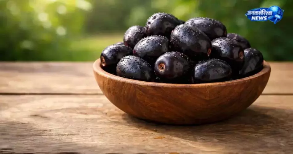 देसी या हाइब्रिड जामुन? जानें फर्क देसी या हाइब्रिड जामुन? जानें फर्क