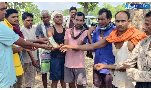 बुजुर्ग महिला को हाथी ने कुचला, मौत