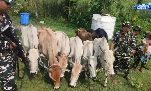 भारत-नेपाल सीमा पर SSB की बड़ी कार्रवाई, 16.5 किलो गांजा और नेपाली बाइक बरामद भारत-नेपाल सीमा पर SSB की बड़ी कार्रवाई, 16.5 किलो गांजा और नेपाली बाइक बरामद