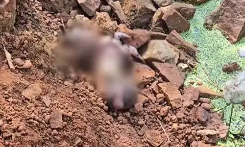रावाभाठा में भ्रूण मिला, खमतराई पुलिस ने जांच शुरू की रावाभाठा में भ्रूण मिला, खमतराई पुलिस ने जांच शुरू की
