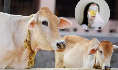 urine को लेकर भ्रम और सच urine को लेकर भ्रम और सच