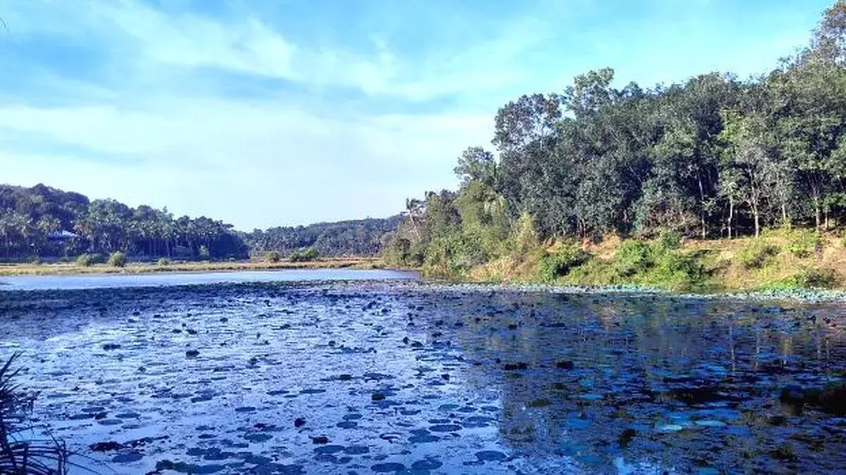 kerala : 10 नदियाँ गंभीर प्रदूषण की चपेट में, ऑक्सीजन स्तर गिरा kerala : 10 नदियाँ गंभीर प्रदूषण की चपेट में, ऑक्सीजन स्तर गिरा