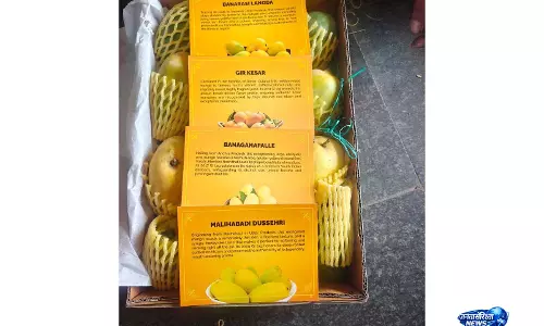BJP के नितिन नवीन ने विदेशी राजनयिकों को भारतीय आमों की चार किस्में भेंट कीं