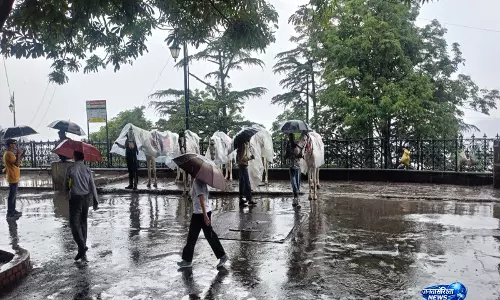 Shimla में सुहावना मौसम और बारिश से बढ़ी पर्यटकों की आवाजाही Shimla में सुहावना मौसम और बारिश से बढ़ी पर्यटकों की आवाजाही