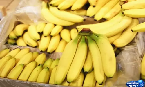 bananas. खरीदने से पहले जान लें ये 4 ट्रिक्स bananas. खरीदने से पहले जान लें ये 4 ट्रिक्स