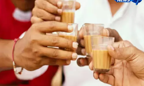 घर पर बनाएं ढाबा स्टाइल चाय, आसान ट्रिक घर पर बनाएं ढाबा स्टाइल चाय, आसान ट्रिक