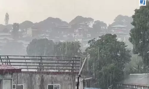 धर्मशाला में झमाझम बारिश से मौसम हुआ सुहाना, लोगों को गर्मी से मिली राहत धर्मशाला में झमाझम बारिश से मौसम हुआ सुहाना, लोगों को गर्मी से मिली राहत