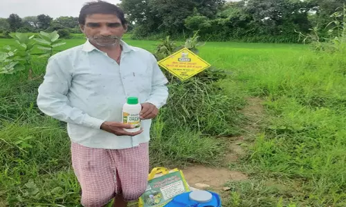 नैनो डीएपी एवं यूरिया प्लस के उपयोग से खेती की लागत में आई कमी: किसान नैनो डीएपी एवं यूरिया प्लस के उपयोग से खेती की लागत में आई कमी: किसान