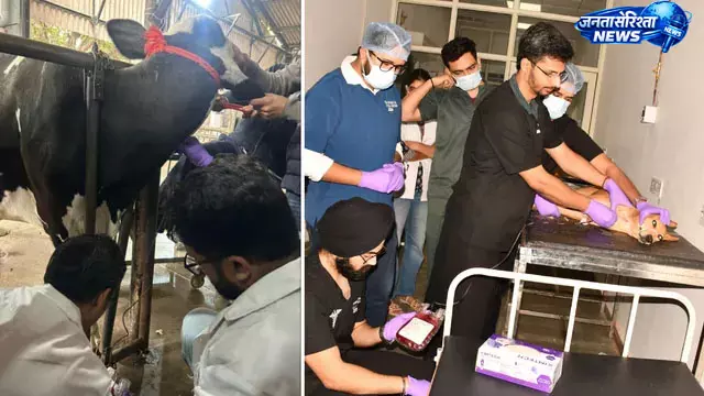 Haryana : हिसार में देश का पहला पशु रक्तदान शिविर शुरू Haryana : हिसार में देश का पहला पशु रक्तदान शिविर शुरू