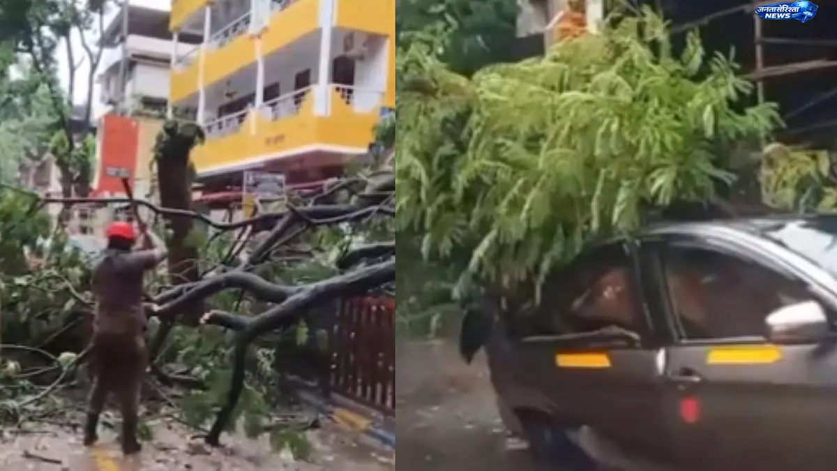 Mumbai में बारिश का कहर, दादर में पेड़ गिरने से कार क्षतिग्रस्त; बड़ा हादसा टला Mumbai में बारिश का कहर, दादर में पेड़ गिरने से कार क्षतिग्रस्त; बड़ा हादसा टला