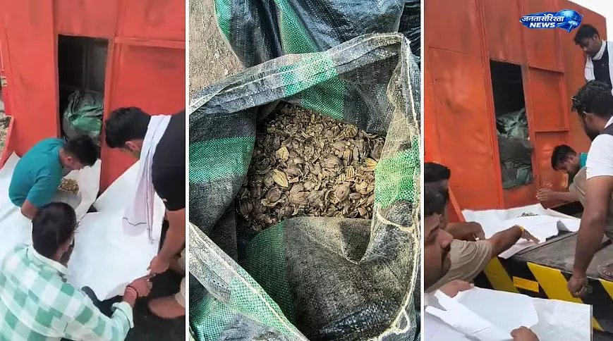 मंदसौर में MD ड्रग्स बनाने की अवैध यूनिट का भंडाफोड़, 14 किलो नशीला पदार्थ बरामद मंदसौर में MD ड्रग्स बनाने की अवैध यूनिट का भंडाफोड़, 14 किलो नशीला पदार्थ बरामद