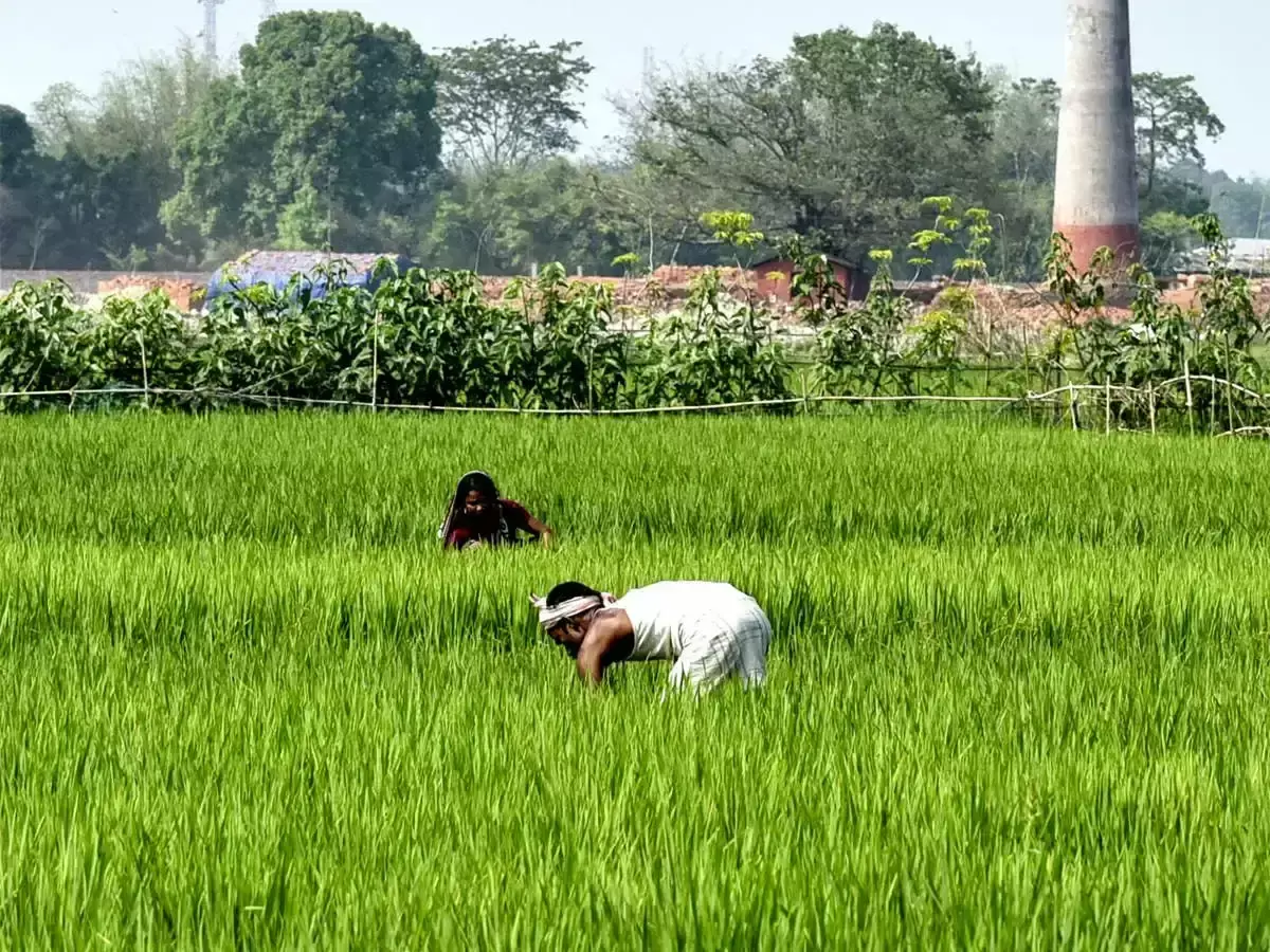 Jaipur: राजसमंद-सिरोही में उर्वरक वितरण होगा अधिक व्यवस्थित और पारदर्शी