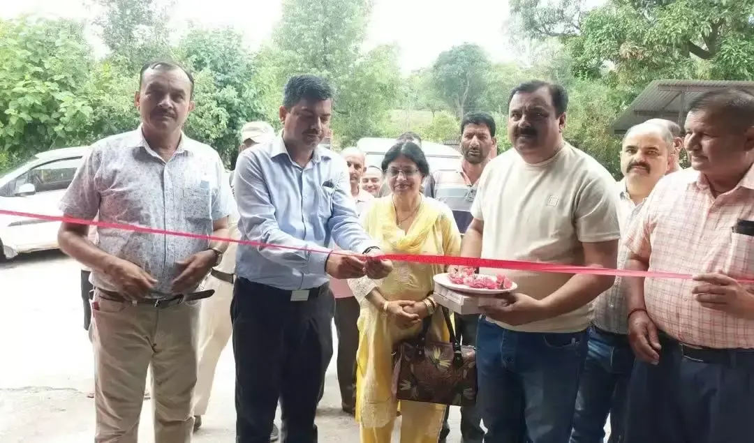 Billawar: किशनपुर में शुरू हुई कोकून नीलामी, उत्पादकों को मिलेगा उचित मूल्य