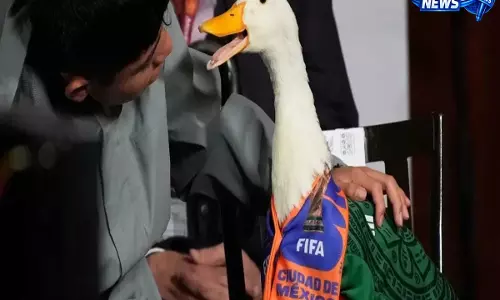 मर्लिन द डक का FIFA सपना अधूरा, नियमों के कारण मेक्सिको मैच में नहीं मिली एंट्री