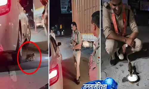 Video: चलती कार के नीचे फंसा बिल्ली का बच्चा, पुलिसकर्मी ने बचाई जान