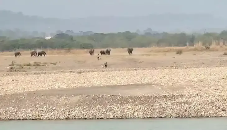 Haridwar: वन्यजीवों के साथ सेल्फी लेना पड़ा भारी, हाथियों से बचकर भागे युवक