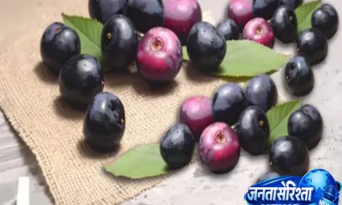 फेंकने से पहले जान लें इसकी खासियत