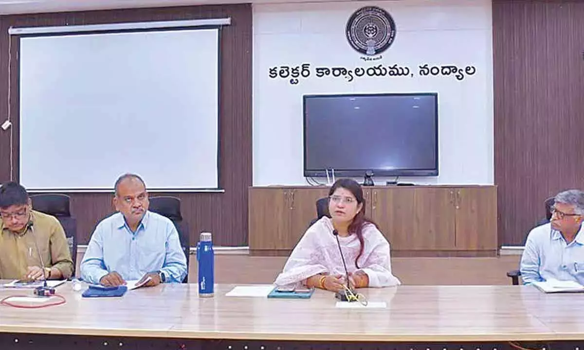 Andhra: कलेक्टर ने तंगदान चेरुवु विकास कार्यों की समीक्षा की