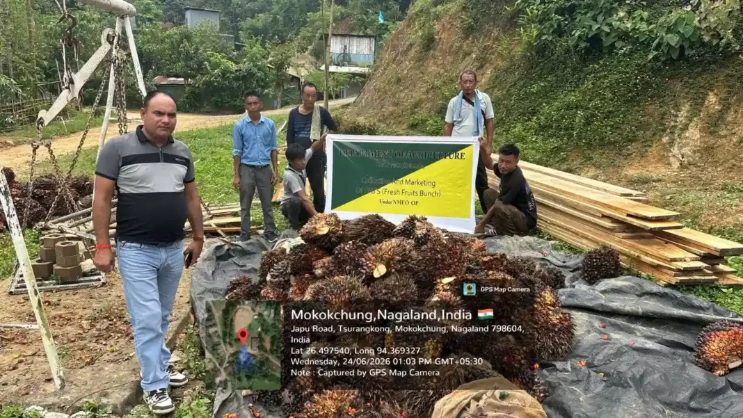 Nagaland: मंगकोलेम्बा से ऑयल पाम के पहले FFB भेजे गए