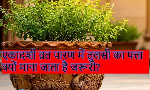Lord Vishnu और Tulsi  का संबंध क्या कहता है शास्त्र