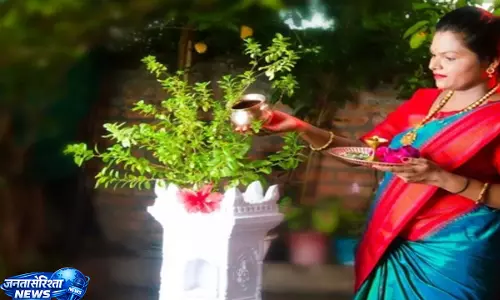 Tulsi की हेल्थ के लिए जरूरी है सही देखभाल