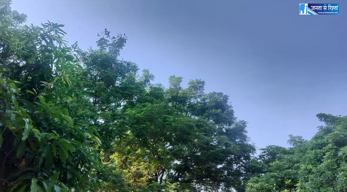 20 राज्यों में कहीं हल्की तो कहीं तेज बारिश का अलर्ट, IMD की चेतावनी