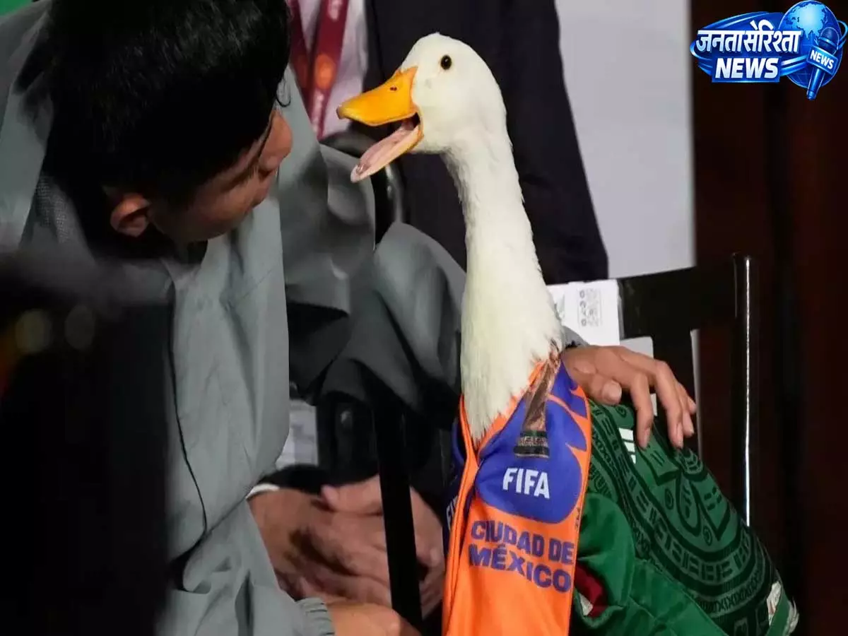मर्लिन द डक का FIFA सपना अधूरा, नियमों के कारण मेक्सिको मैच में नहीं मिली एंट्री मर्लिन द डक का FIFA सपना अधूरा, नियमों के कारण मेक्सिको मैच में नहीं मिली एंट्री
