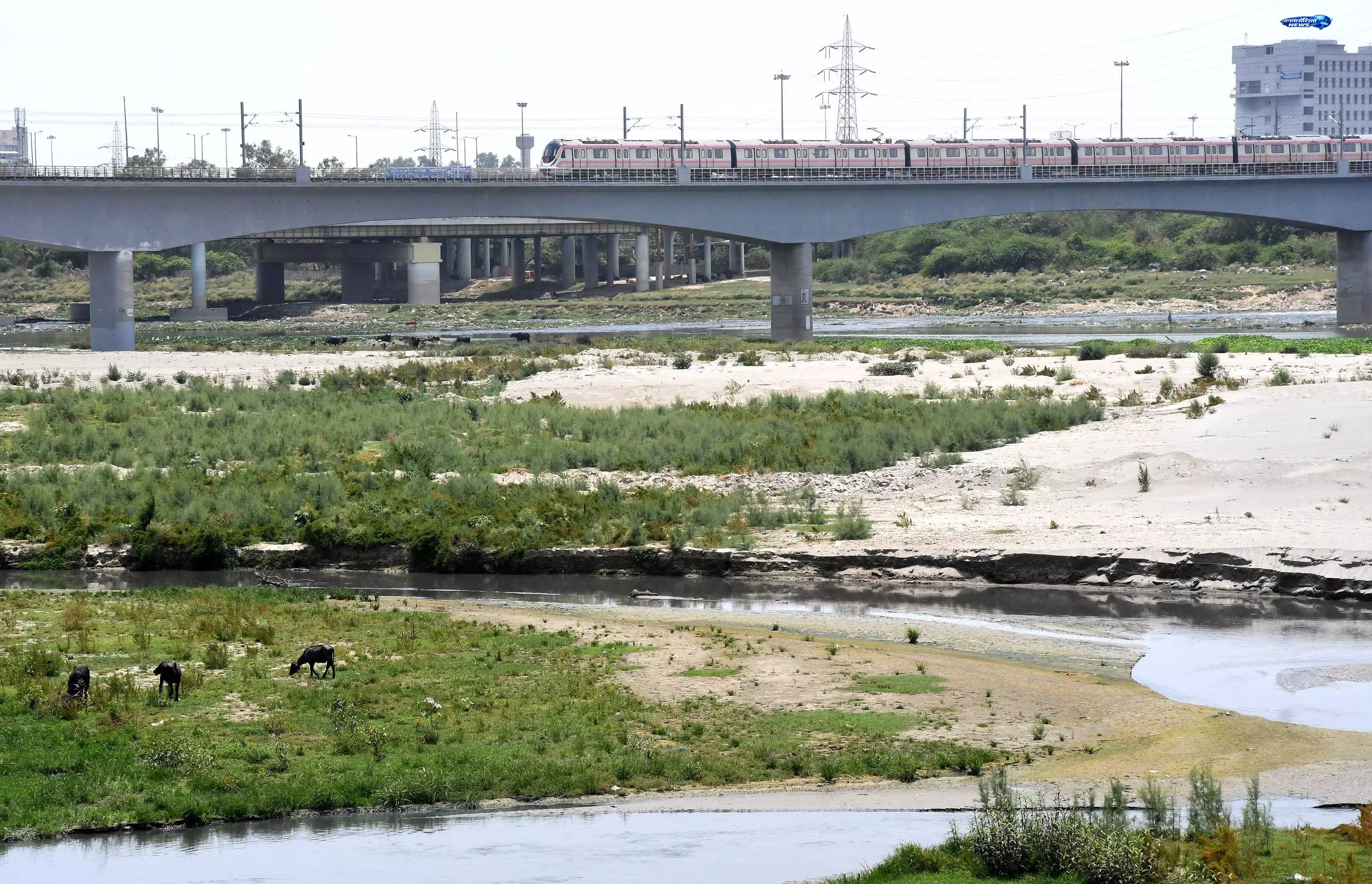 Yamuna क्रूज़ टूरिज़्म योजना अटकी, पानी की कम गहराई बनी बड़ी बाधा Yamuna क्रूज़ टूरिज़्म योजना अटकी, पानी की कम गहराई बनी बड़ी बाधा