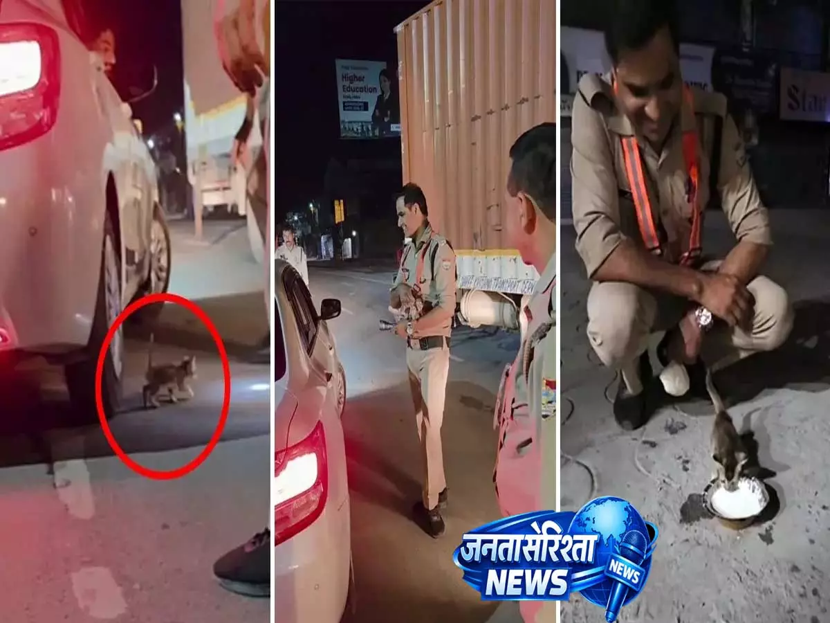Video: चलती कार के नीचे फंसा बिल्ली का बच्चा, पुलिसकर्मी ने बचाई जान Video: चलती कार के नीचे फंसा बिल्ली का बच्चा, पुलिसकर्मी ने बचाई जान