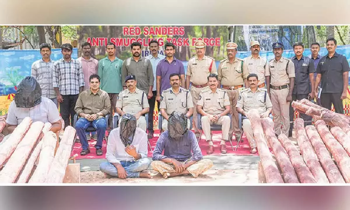 Andhra: 3 तस्कर पकड़े गए, 109 आरएस लट्ठे जब्त