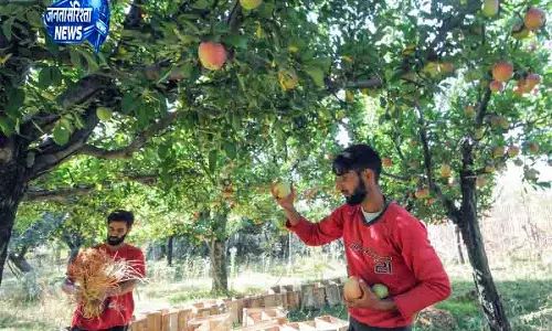 Jammu and Kashmir में मौसम आधारित फसल बीमा की तैयारी